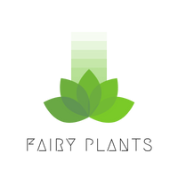 Fairy Plants