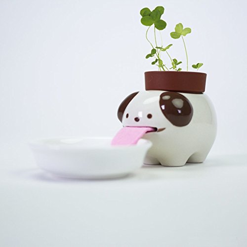 self watering animal plant Cute Animal Self Watering Planter