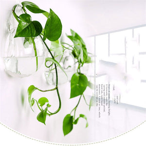 Vase Terrarium Container Flower Pots