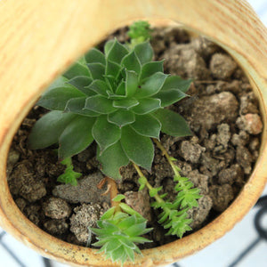 Flower Geometric Hanging Plant Pot