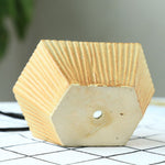 Flower Geometric Hanging Plant Pot