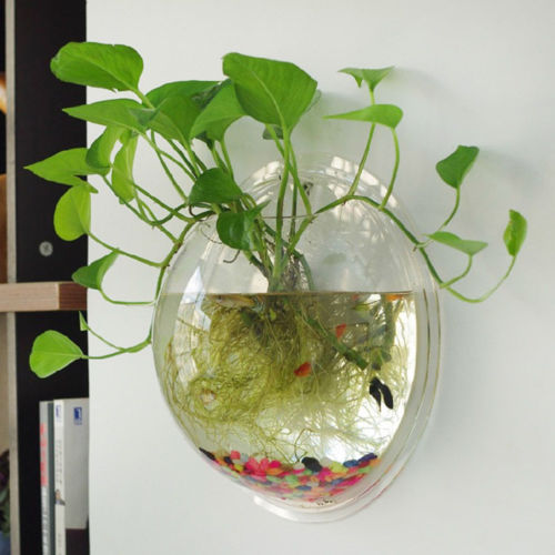 Home Hanging Glass Ball Vase Flower Planter Pots