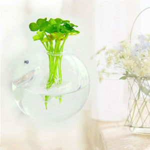 Home Hanging Glass Ball Vase Flower Planter Pots