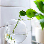 Home Hanging Glass Ball Vase Flower Planter Pots