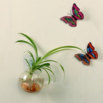 Home Hanging Glass Ball Vase Flower Planter Pots
