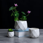 Creative Ceramic Diamond Geometric Flower Pot