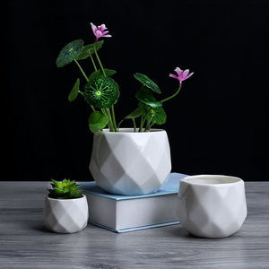 Creative Ceramic Diamond Geometric Flower Pot