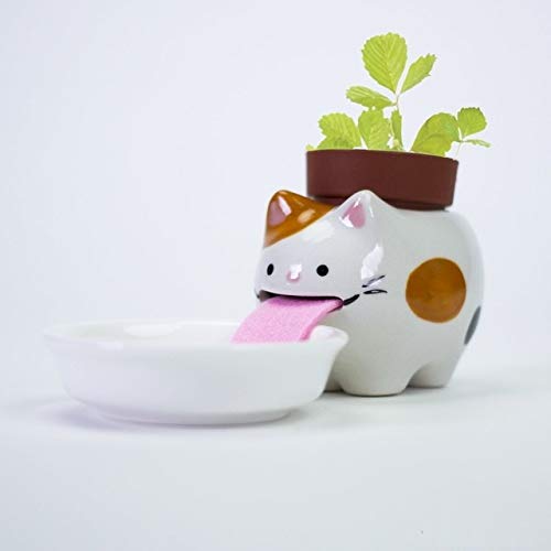 cat self watering planter Cute Animal Self Watering Planter